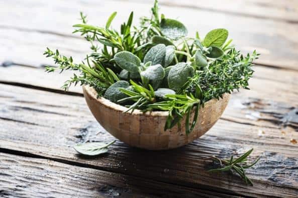 Bowl of fresh herbs including rosemary, sage, and thyme